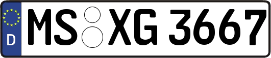 MS-XG3667