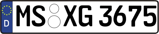 MS-XG3675