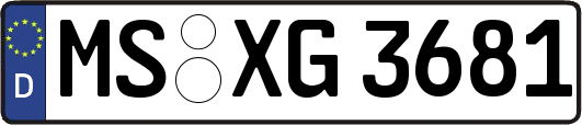 MS-XG3681