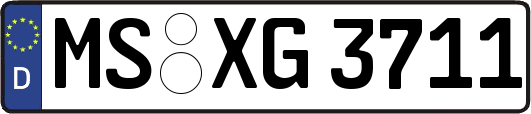MS-XG3711