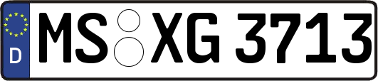 MS-XG3713