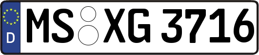 MS-XG3716
