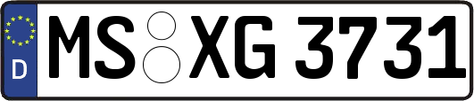 MS-XG3731