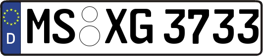 MS-XG3733