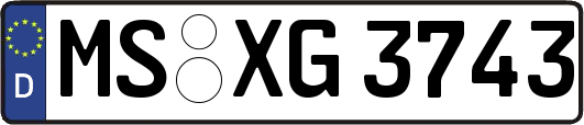 MS-XG3743