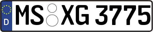 MS-XG3775