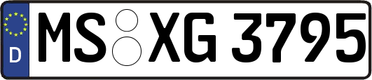 MS-XG3795