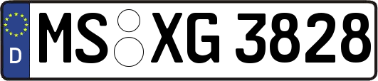 MS-XG3828