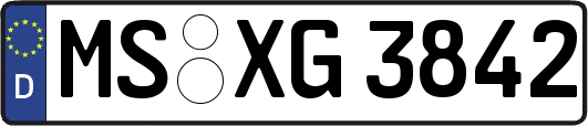 MS-XG3842