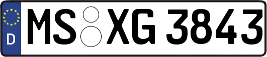 MS-XG3843