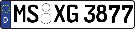 MS-XG3877