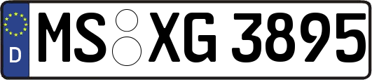 MS-XG3895