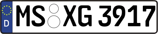 MS-XG3917