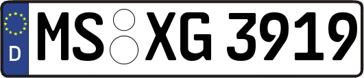 MS-XG3919