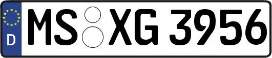 MS-XG3956