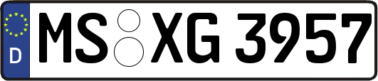 MS-XG3957