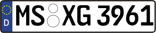 MS-XG3961