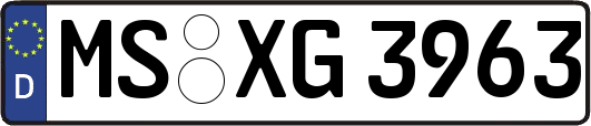 MS-XG3963