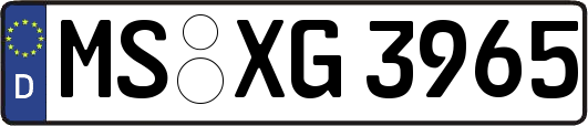 MS-XG3965