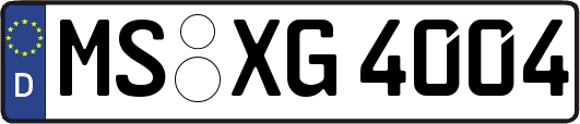 MS-XG4004