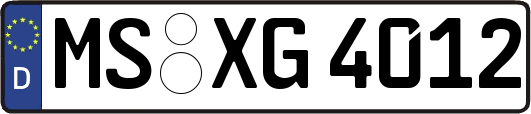 MS-XG4012