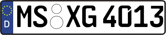 MS-XG4013