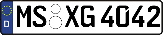 MS-XG4042