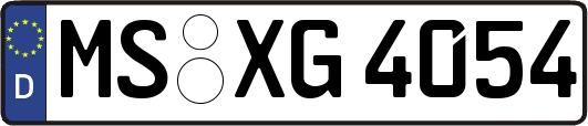 MS-XG4054