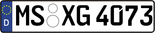MS-XG4073