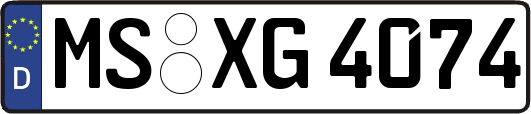 MS-XG4074