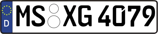 MS-XG4079