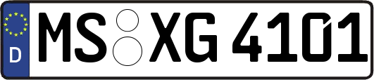 MS-XG4101