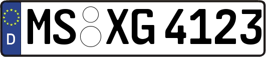 MS-XG4123