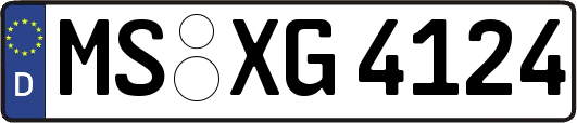 MS-XG4124