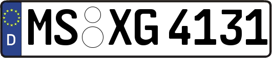 MS-XG4131