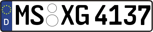 MS-XG4137