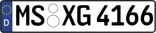 MS-XG4166