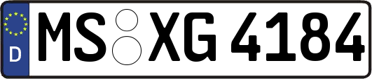 MS-XG4184