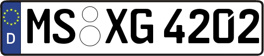MS-XG4202