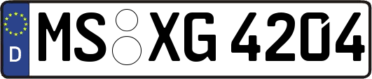 MS-XG4204