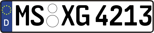 MS-XG4213
