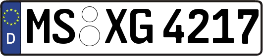 MS-XG4217