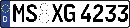 MS-XG4233