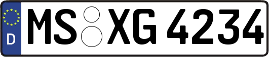 MS-XG4234