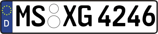 MS-XG4246