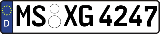 MS-XG4247