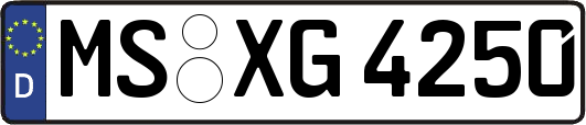 MS-XG4250