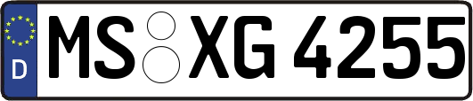 MS-XG4255