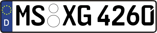 MS-XG4260