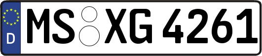 MS-XG4261